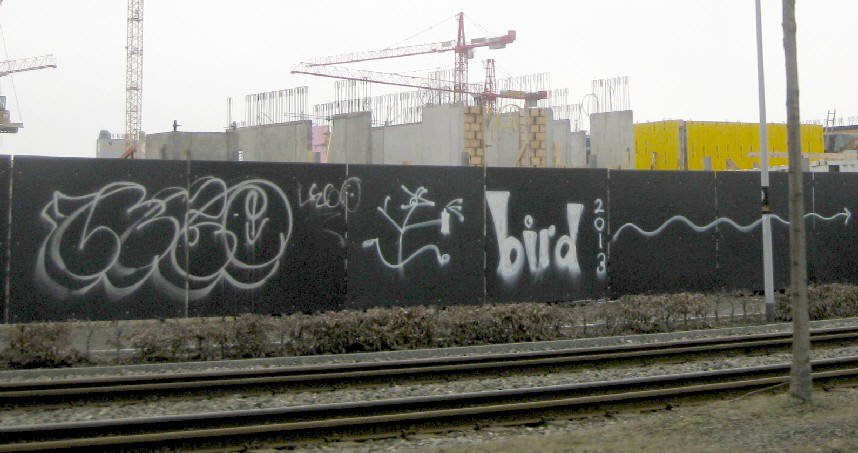 bird 15
